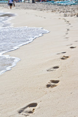 Bermuda: footprints in the sand on the coast 
