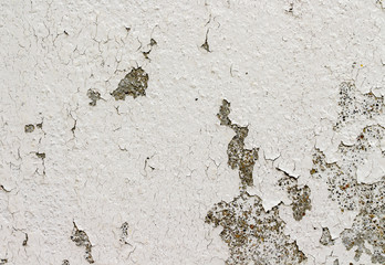 white concrete wall texture