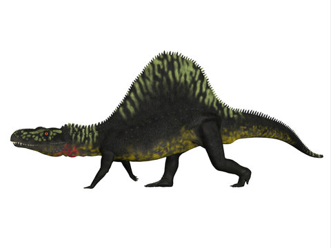 Arizonasaurus Side Profile - Arizonasaurus was a sailback carnivorous archosaur that lived in Arizona, North America in the Triassic Period.