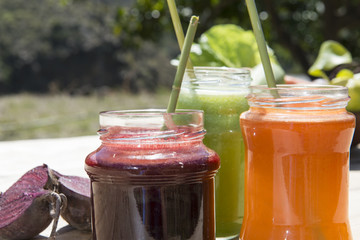 Zumos de verdura ecolócica