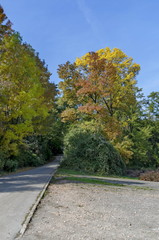 Fototapeta na wymiar Color trees in autumn, Bulgaria