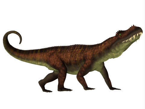 Prestosuchus Side Profile - Prestosuchus was a carnivorous archosaur dinosaur that lived in the Triassic Period of Brazil.