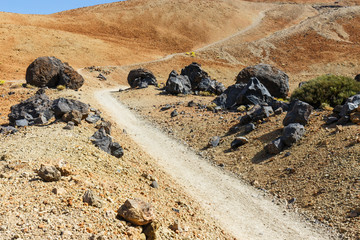 Volcanic bombs on Montana Blanca, Teide National Park, Tenerife, Canary Islands, Spain