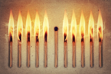 Whole, unused match standing middle a row of burning matches. Standing out from the crowd,...