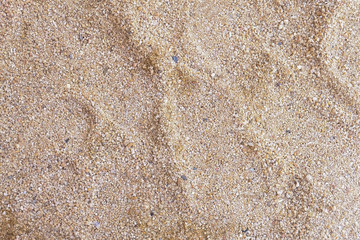 Close-up. sand background
