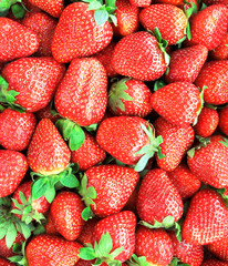 Red juicy strawberries closeup, background