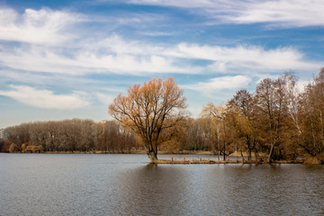 Tree in the middle of the lake in early spring