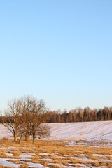 landscape, early spring