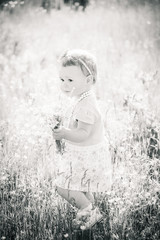 Small child playing alone in spring or summer sunny meadow full of yellow flowers. Allergy free baby enjoying nature.  Black and white picture.