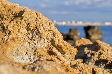Scogliere di Castiglioncello.
