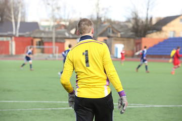 Fototapeta premium Rear view of soccer goalkeeper