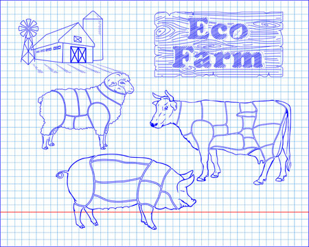 butchering beef diagram, pork, lamb and farm