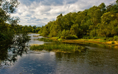 summer landscape with forest river