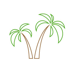 palms tree isolated