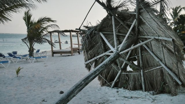 Palm huts on the ground after hurricane in caribbean beach