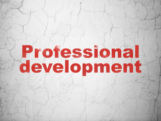 Learning concept: Professional Development on wall background