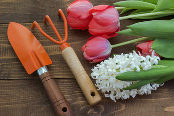 Spring flowers and garden tools on a wooden board.