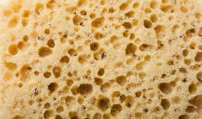 Surface of sponge for textured background
