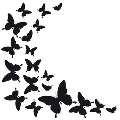 butterflies design