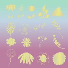 Fototapeta na wymiar vector illustration with set of golden floral elements