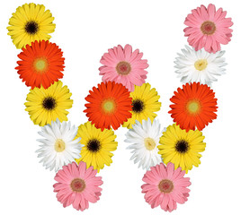 Buchstabe W Alphabet aus Blumen Freisteller auf weiss