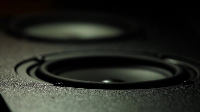 vibration of the diffuser of a loudspeaker