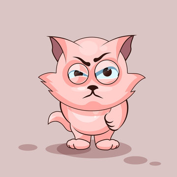 Nice cat angry