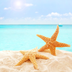 Fototapeta na wymiar Starfishes on sandy beach