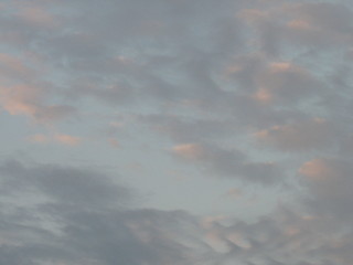 one of the photos of the summer sky