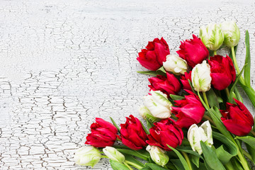 Fototapeta na wymiar White and red tulips on white wooden background. Copy space, top view
