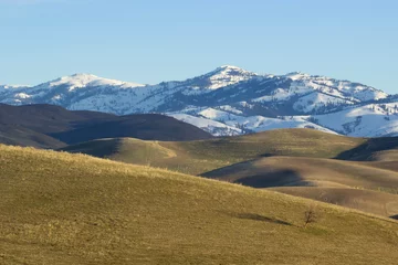 Papier Peint photo Lavable Colline des collines ouvertes se dressent devant une montagne enneigée