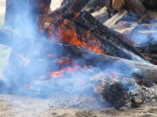 Naklejka premium Burning camp fire near Brisbane
