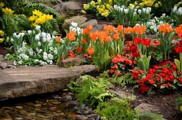 Fr&uuml;hlingsblumen neben Bach zwischen Steinen