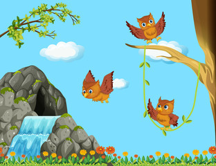 Three owls flying at the waterfall