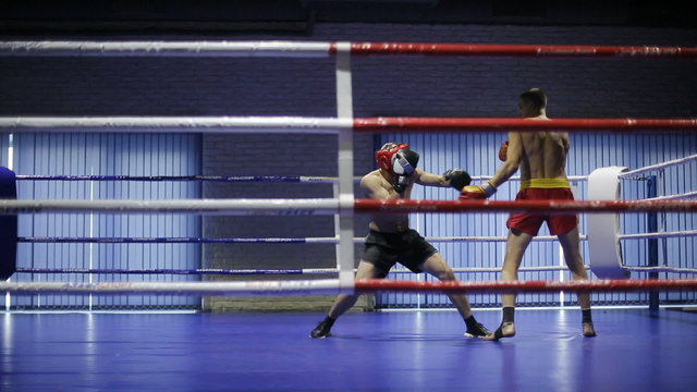 Boxers in the ring during fight