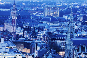 Obraz premium Aerial view of Lille