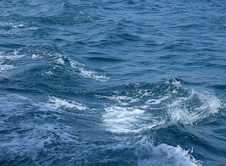 Fototapeta na wymiar Sea wave
