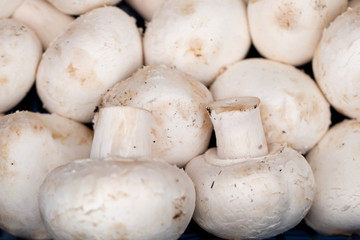white mushrooms