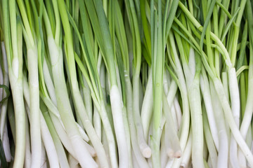 Bunch of fresh green onions