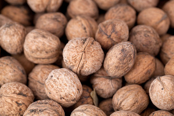 Walnut