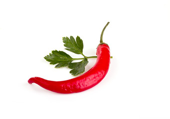 Chile red pepper on a white background