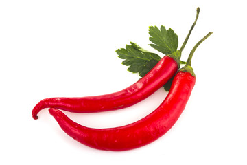 Chile red pepper on a white background