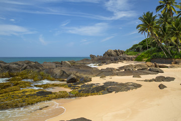  красивый берег океана Шри Ланка