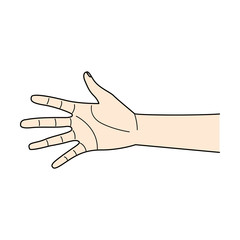손 일러스트