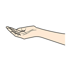 손 일러스트