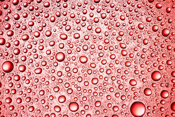 Red transparent water drops on glass surface texture.