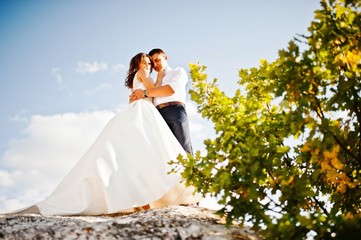 Fototapeta na wymiar Very sensual and gorgeous wedding couple on the picturesque landscapes