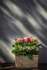 róże w donicy pod ścianą