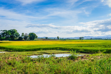 Landscape of farm field, LamDong, VietNam
