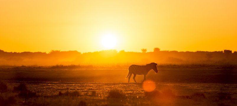 Fototapeta Africa Sunset Landscape